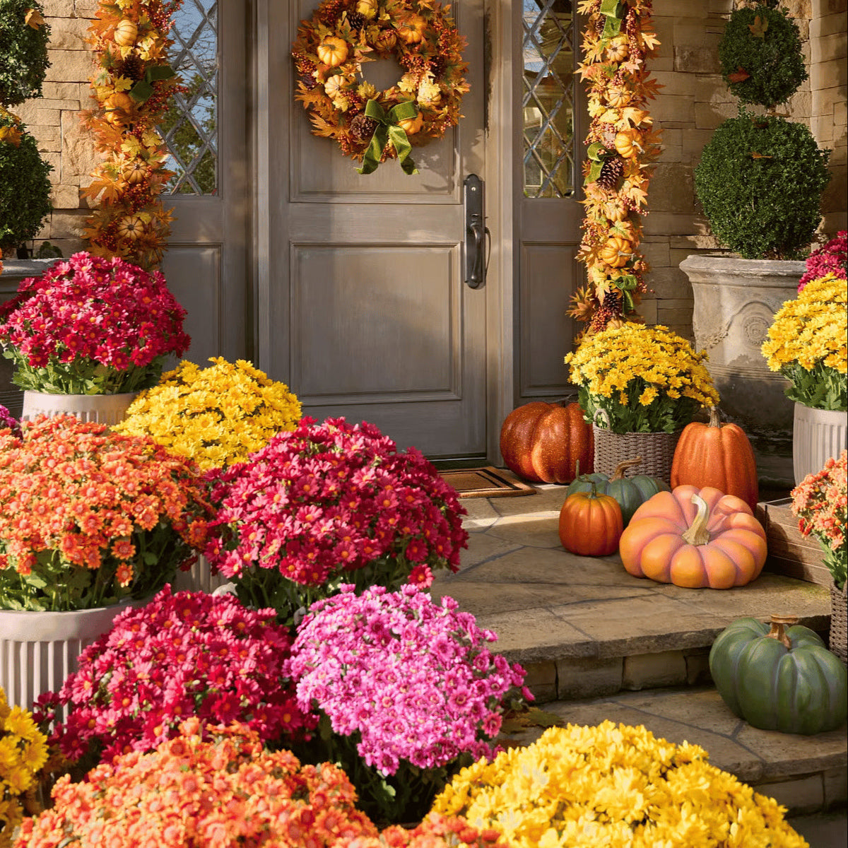 💥Last Day 85% OFF🌼- Artificial Outdoor Sunset Mums Flowers - UV resistant, Waterproof, Windproof