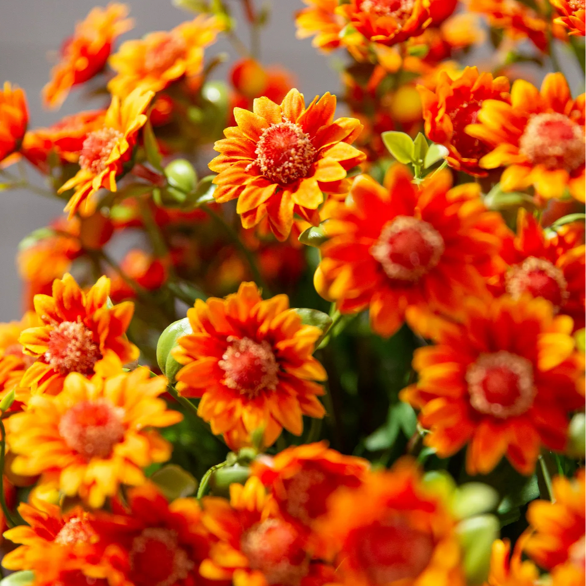 💥Last Day 85% OFF🌼- Artificial Outdoor Sunset Mums Flowers - UV resistant, Waterproof, Windproof