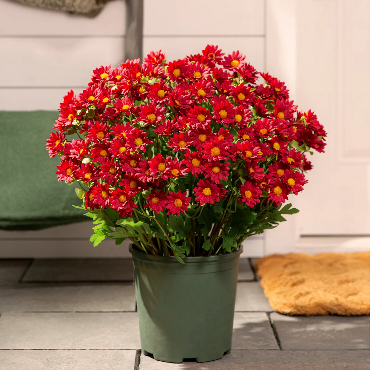 💥Last Day 85% OFF🌼- Artificial Outdoor Sunset Mums Flowers - UV resistant, Waterproof, Windproof