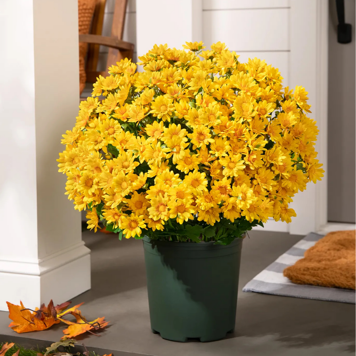 💥Last Day 85% OFF🌼- Artificial Outdoor Sunset Mums Flowers - UV resistant, Waterproof, Windproof