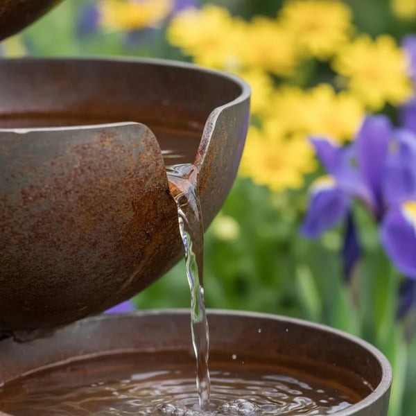 Last Day 50% OFF🐦Rain Catcher Bird Bath –  Bring Life Back To Your Garden🌿